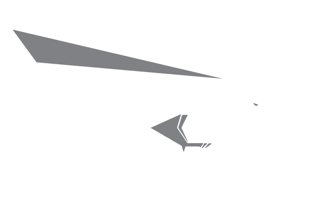 Black Eagle Marketing
